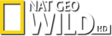 Logo NGC WILD